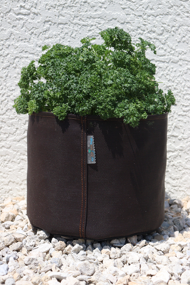 1/2 Gallon Plant Grow Bags