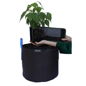 RipAway Transplant Series 1/2, 1, & 2 Gallon