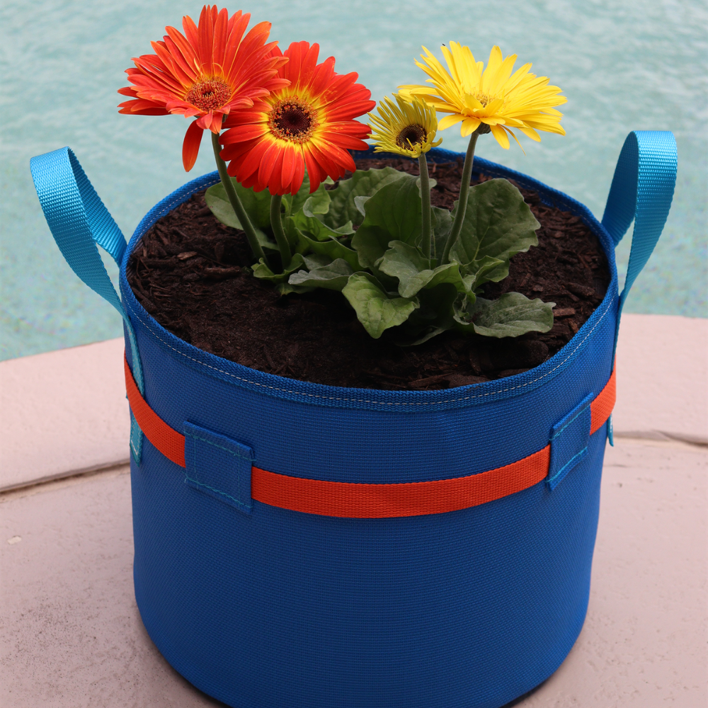 Color Series: Cabo 6 gallon