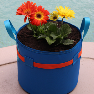 Color Series: Cabo 6 gallon